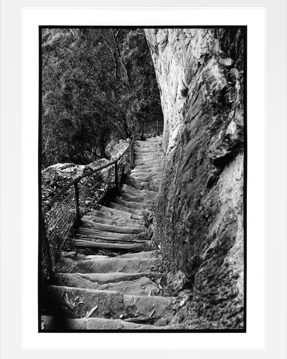 RX5_SYD's tweet photo. #archive Silver gelatine print “Stairs of the Three Sisters” in #Katoomba #film #kodak #plusX #125asa #d76 #ilfordpaper #rc #1970’s #pentaxK1000 https://t.co/f05OKbtSBf