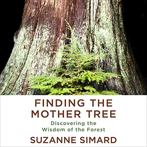 alibrarytech's tweet photo. For the daughter of a Forester who loved trees, this is a great book! #findingthemothertree #suzannesimard #missingmyDad #forests #treescommunicate #rootsconnected #perseverance #strongwomen #smartwomen #britishcolumbia 🇨🇦 https://t.co/Rw3CL90snf