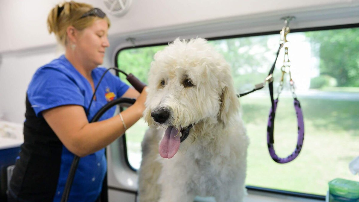 We’re excited to announce that Home Franchise Concepts (a JM Family company), has acquired <a href="/AussiePetMobile/">Aussie Pet Mobile</a>, a leading franchisor of mobile pet grooming services for dogs and cats. Welcome to our growing family of companies!  #WeAreJMFamily 

Learn more: bit.ly/3xP9hAl