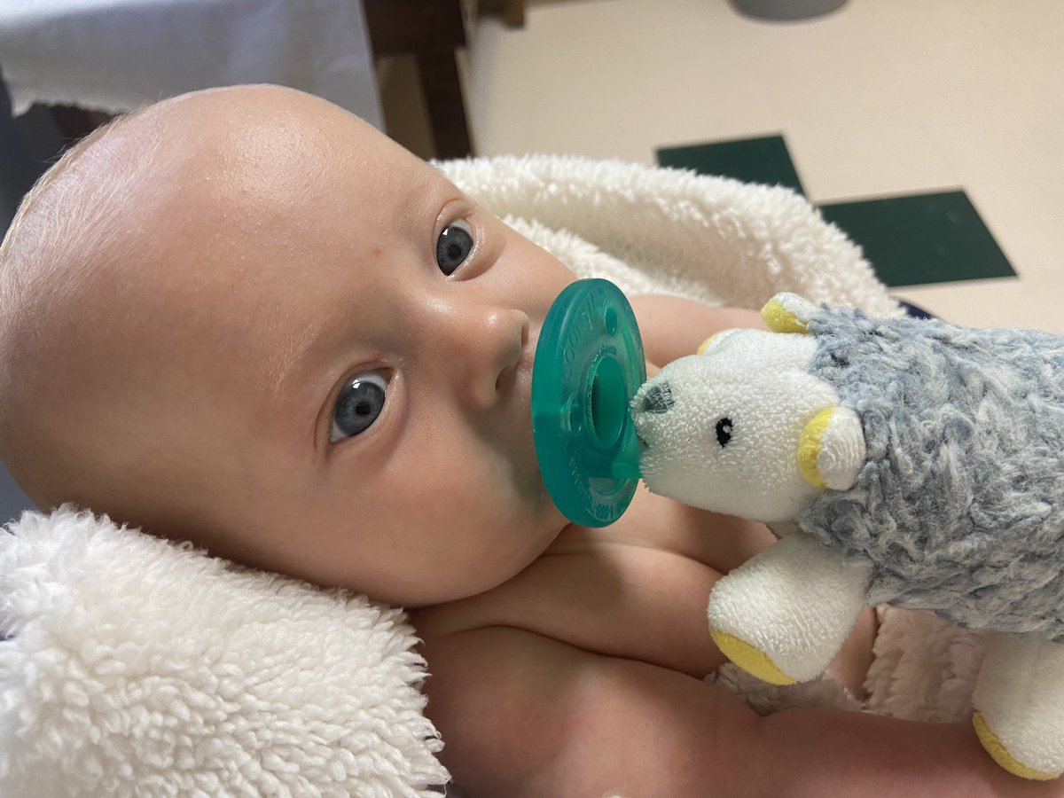 _blakewebbb's tweet photo. My sweet bald headed girl 🥺💕 https://t.co/GgJRHnVIk3