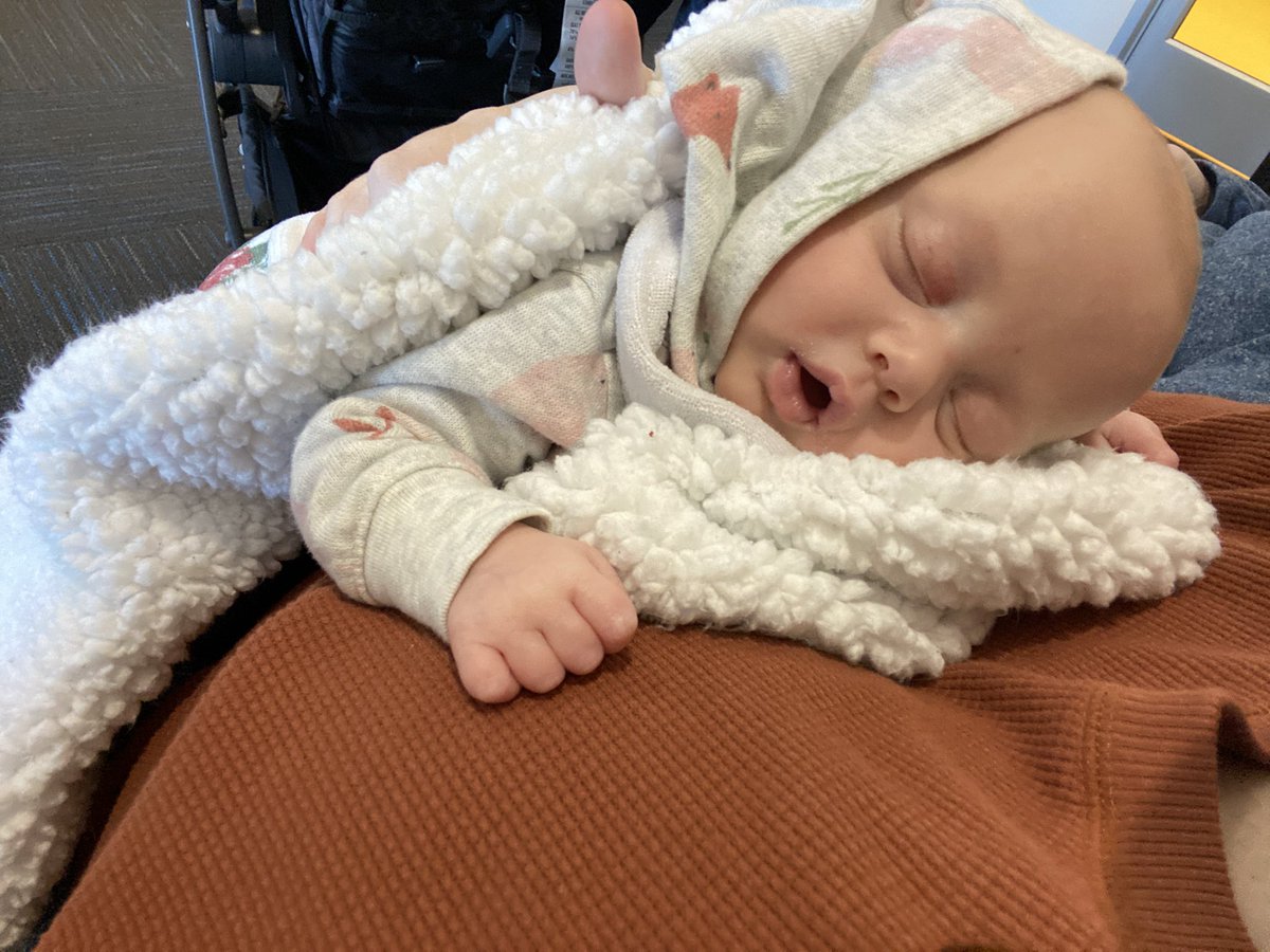 _blakewebbb's tweet photo. My sweet bald headed girl 🥺💕 https://t.co/GgJRHnVIk3