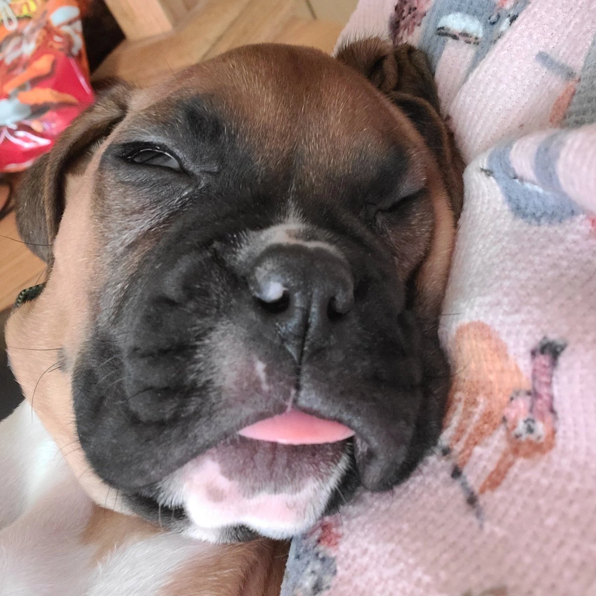 RowdySmoke tweet media