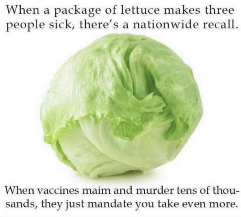 LochLandLives (@livesloch) on Twitter photo 