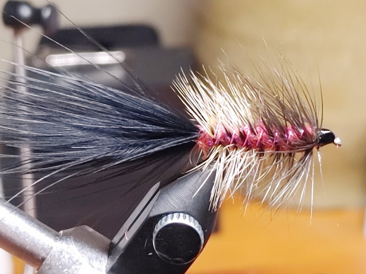 Shouldbgolfng's tweet photo. Was requested I try tying some pink flies by the women in my life and they've been amazingly effective #flytying #flytyingaddict #fishing #fishinglife #woolybugger #trout #troutbums #wildtrout #catchandrelease #Colorado #coloradofishing #coloradoangler https://t.co/XyrRBElGsH