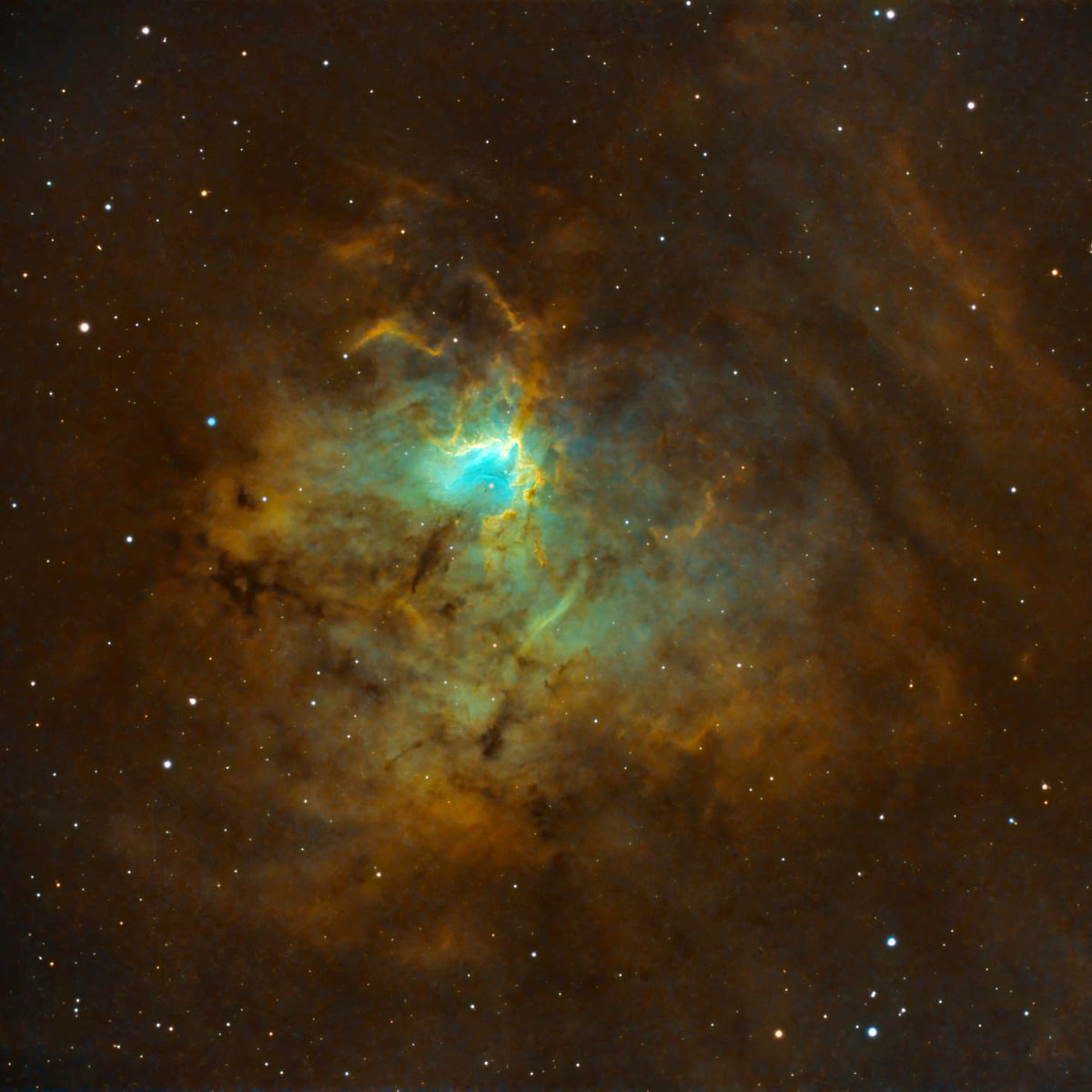 Mathew Ray tweet media