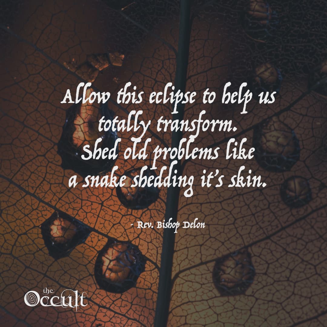 OccultBookstore's tweet photo. A total solar eclipse begins December 3rd, 11:29:16pm CST

Solar eclipse maximum~ December 4th, 1:33:26am CST

Solar eclipse ends December 4th, 3:37:26am CST

"Allow this eclipse to help us totally transform. 
Shed old problems like a snake shedding its skin"
~ Rev. Bishop Delon https://t.co/Jm5Z4KTCAN
