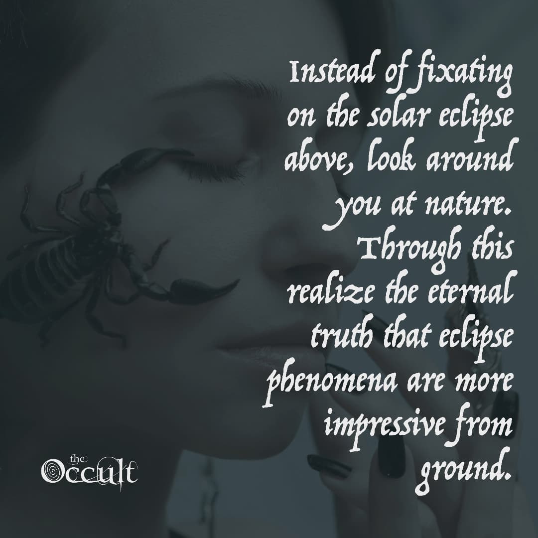 OccultBookstore's tweet photo. A total solar eclipse begins December 3rd, 11:29:16pm CST

Solar eclipse maximum~ December 4th, 1:33:26am CST

Solar eclipse ends December 4th, 3:37:26am CST

"Allow this eclipse to help us totally transform. 
Shed old problems like a snake shedding its skin"
~ Rev. Bishop Delon https://t.co/Jm5Z4KTCAN