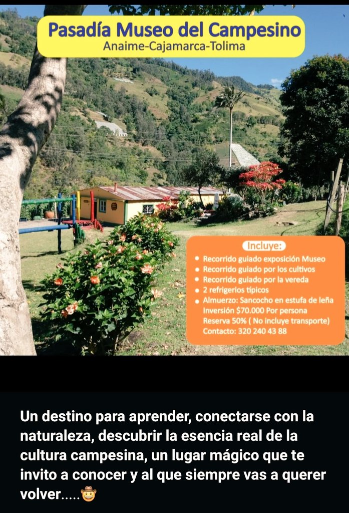 Andrea Guerra tweet media