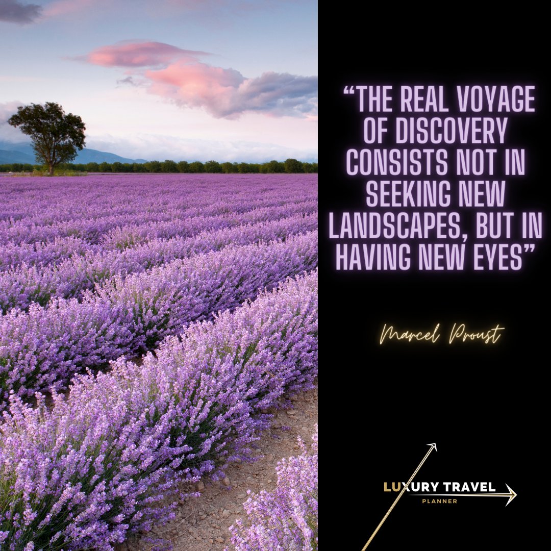 Luxury Travel Planner tweet media