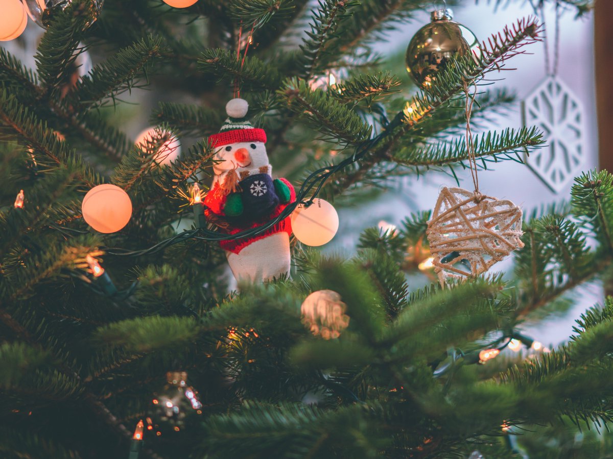 renaissancejb_'s tweet photo. It’s beginning to look a lot like Christmas. Let the festive season begin!

#renaissancejb #renhotels #discoverthisway #rendesign https://t.co/T7xZ3hC0L0