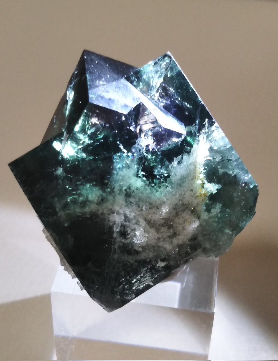 とうりさ 浅草石フリマ6階Q-18土曜のみ tweet media