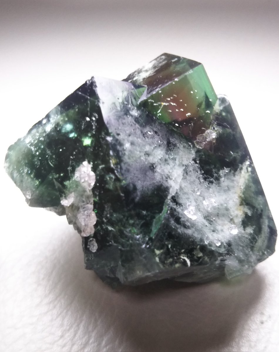 とうりさ 浅草石フリマ6階Q-18土曜のみ tweet media