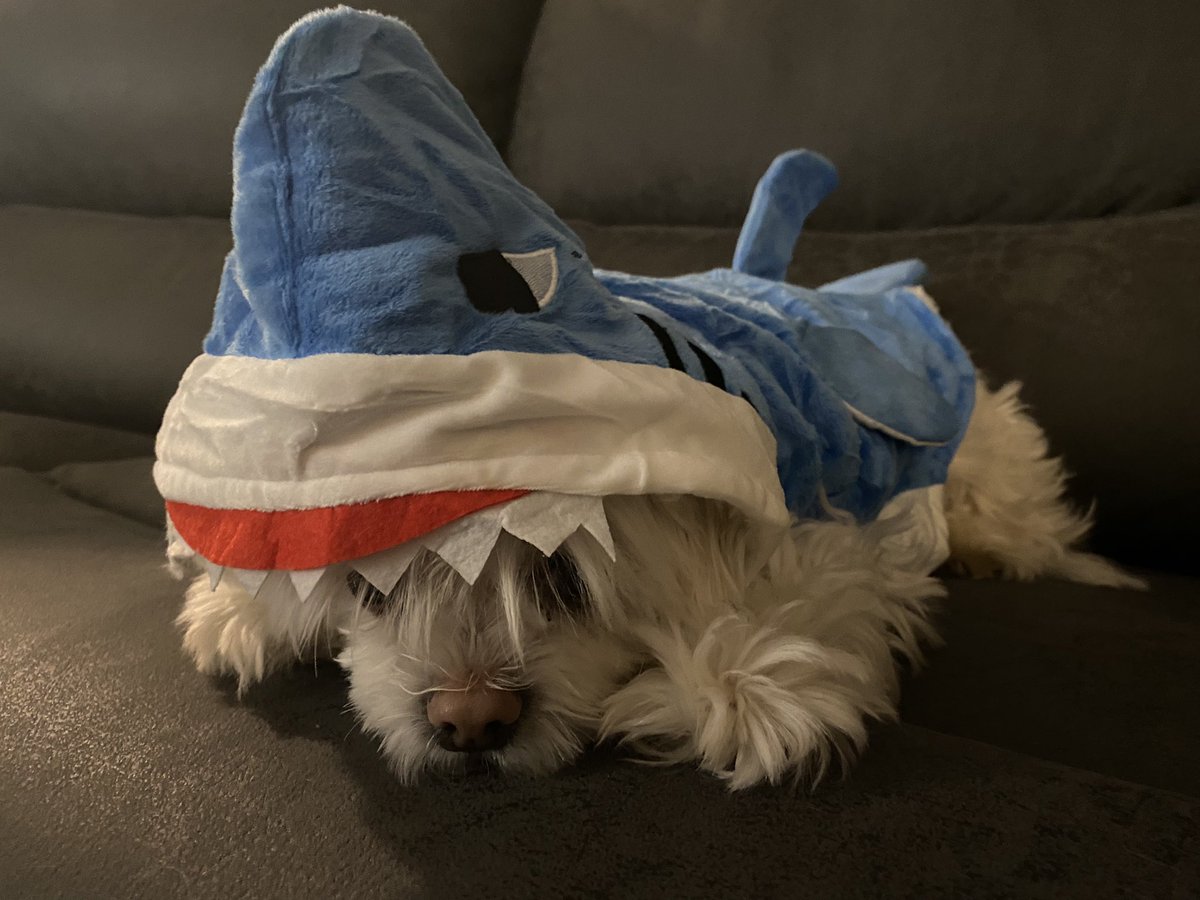 Foolish isnt the only one with a shark onesie