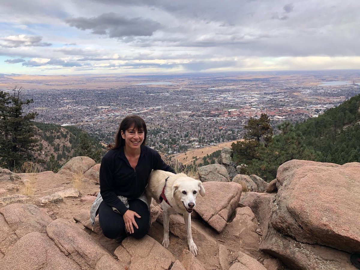 BrodyGraduate's tweet photo. 9 years ago I transformed from abandoned dog to rescue dog. Thanks @SpartanHumane and @dcluckydog for allowing me to find my forever home and my best life. #gratefuldog #brodiversary #adoptdontshop https://t.co/1vEnoy47qH