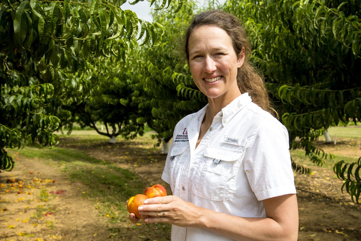 Remember to register for our symposium by Dec. 3rd! See Dr. Margaret Worthington to learn about how the <a href="/UniversityOfArk/">UniversityOfArkansas</a> is improving Muscadine grapes!