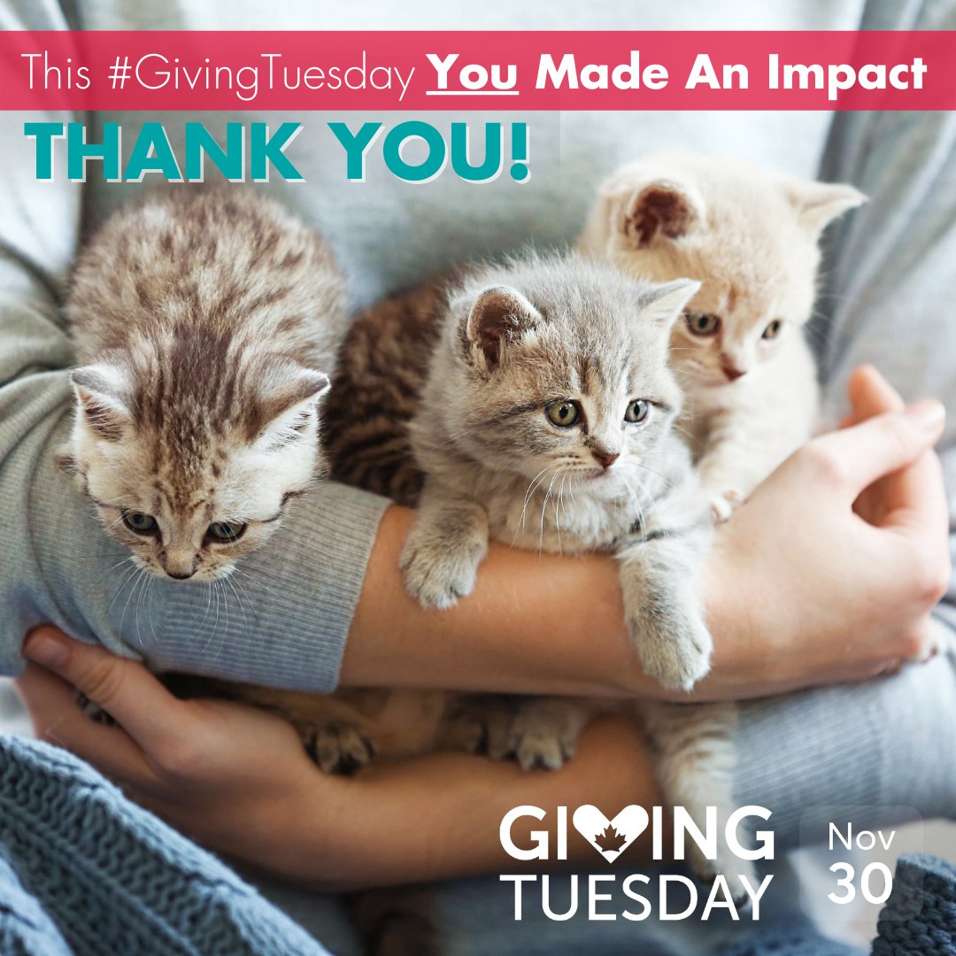 EdmontonHumane's tweet photo. This #GivingTuesdayCA we asked you to help us raise $30,000 for animals in need. Thanks to you, we more than TRIPLED our goal! With the support of you, @ChampionPetfood, &amp; @theECF, we raised over $105,000. We are incredibly grateful for your generosity and kindness 💕 THANK YOU! https://t.co/ymsx6G7TAn