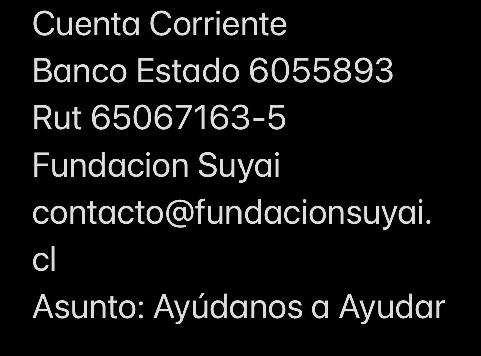 Caro 🌲 C. tweet media