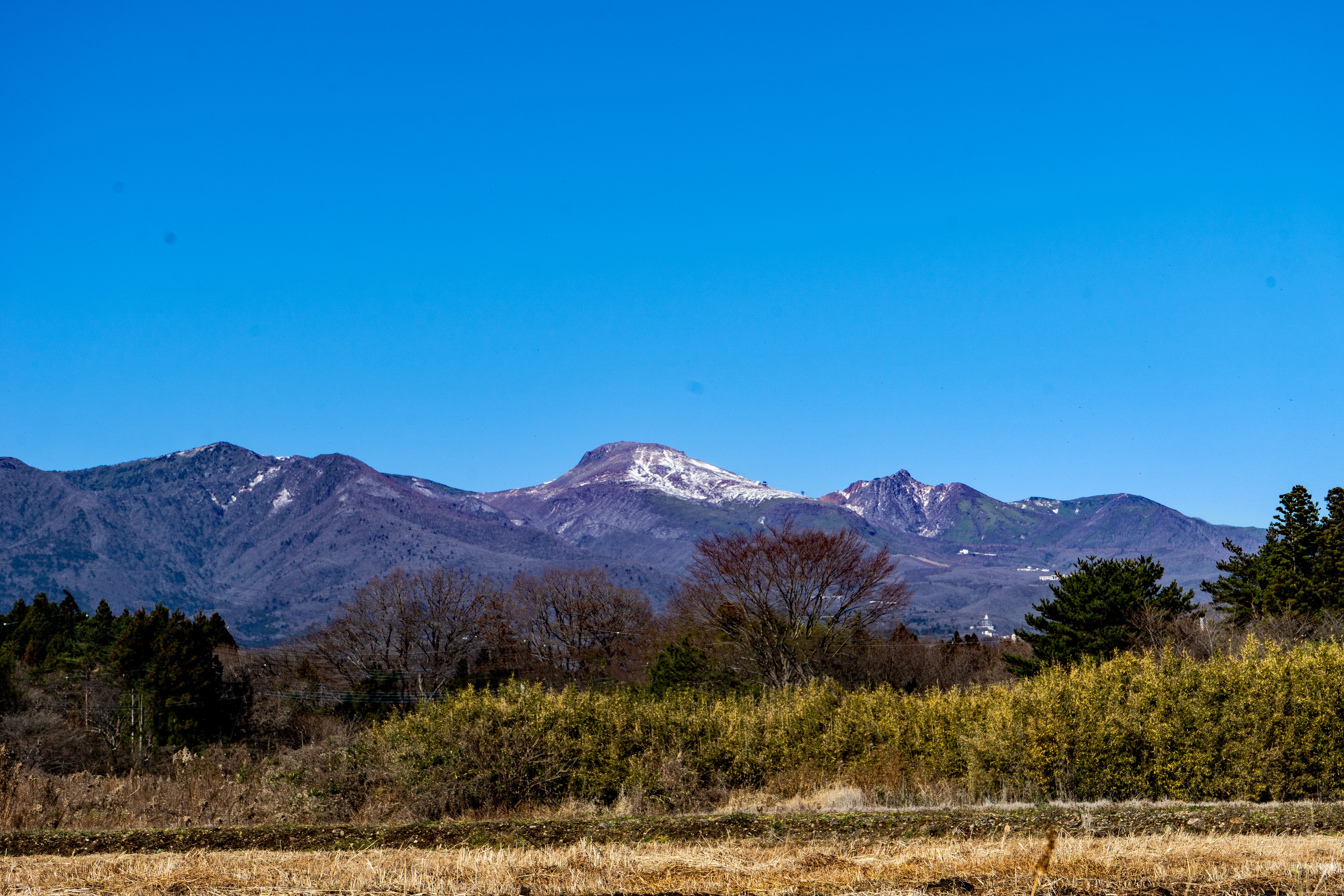 那須 喜楽庵 Wdwtnosnfn3cjqz Twitter