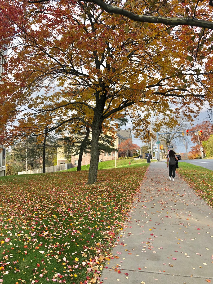Sharing some #fall #photodump content from Instagram! #nhsmc
