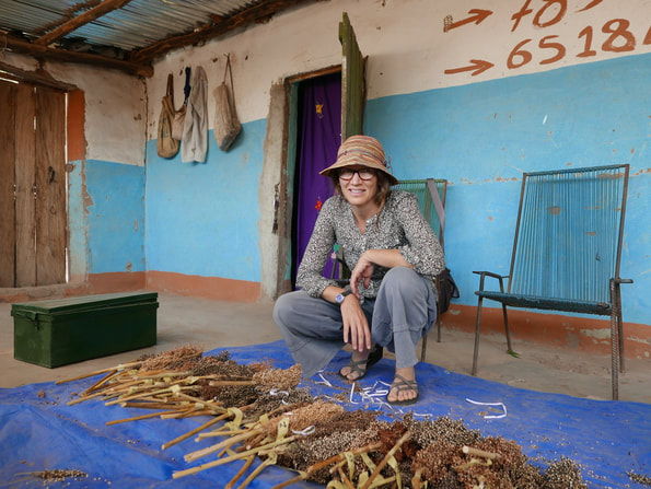 #SpartanStrong ! Dr. Krista Issacs from MSU will be presenting at the PBGB-Corteva Symposium on how inclusion, accessibility, and equity impacts plant breeding!