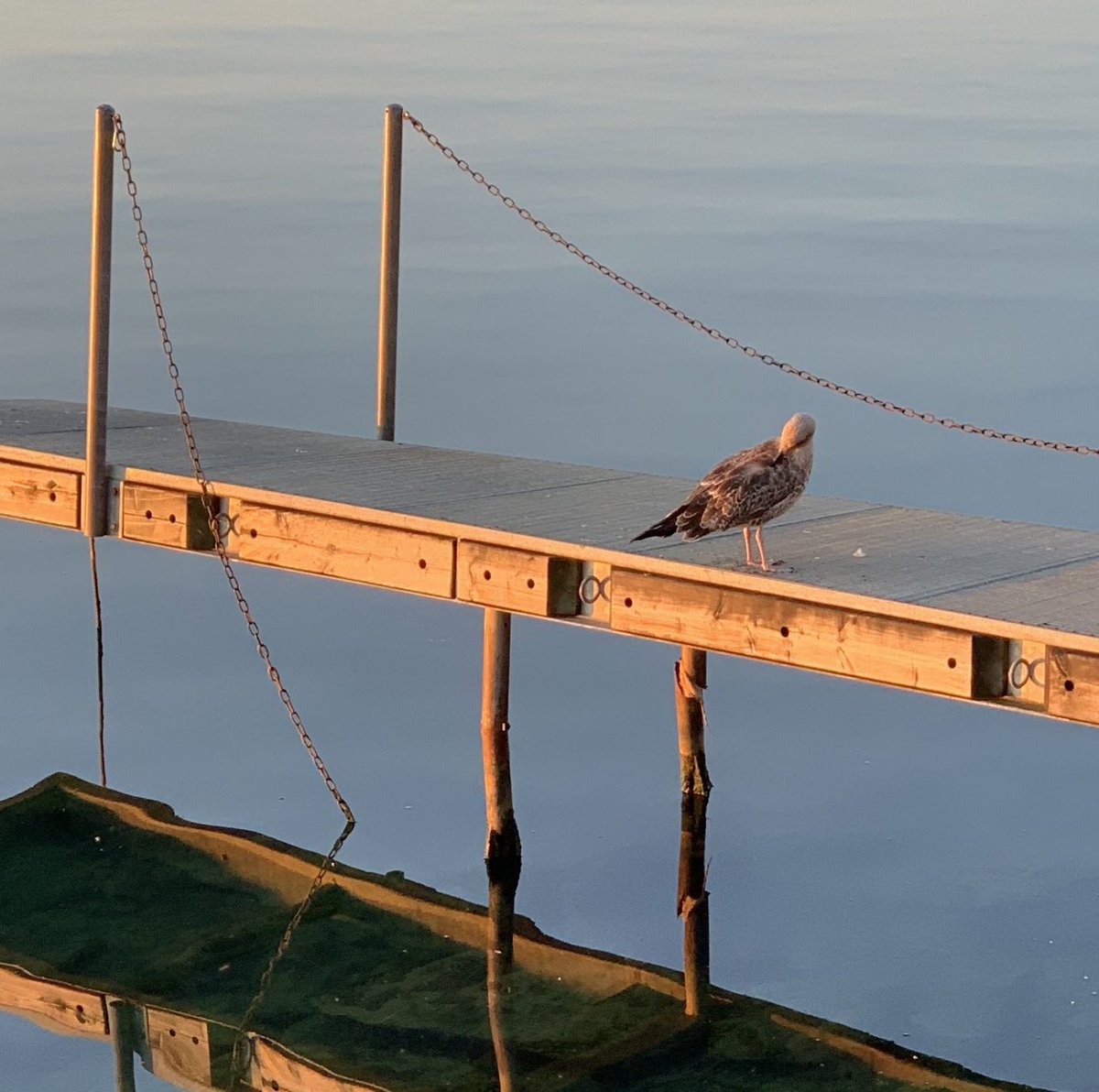 Welsh Bollocks 🏴󠁧󠁢󠁷󠁬󠁳󠁿 tweet media