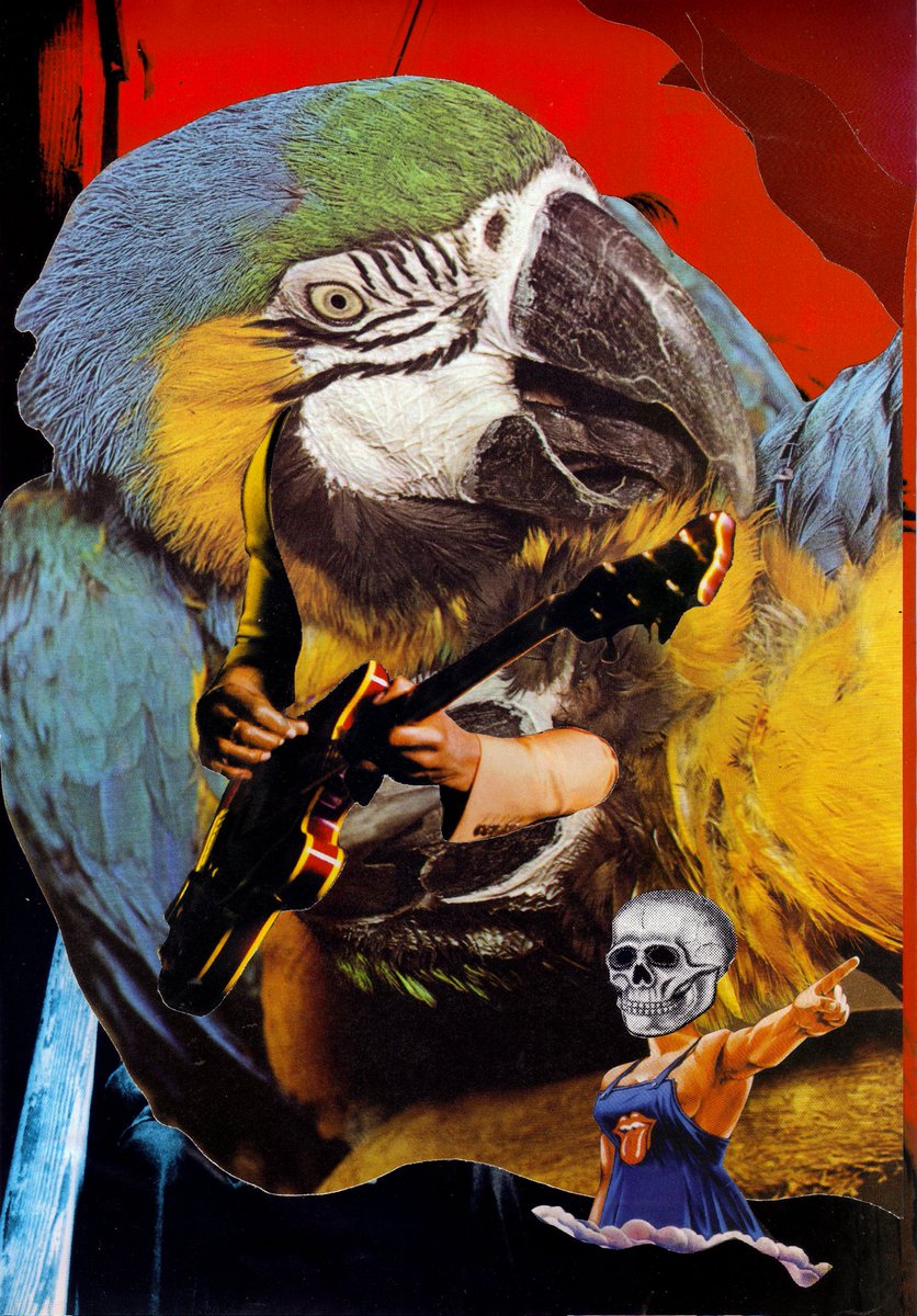 SmithArtSmith's tweet photo. Smith Smith - Harvey Family Bird https://t.co/SM0jgHlon1