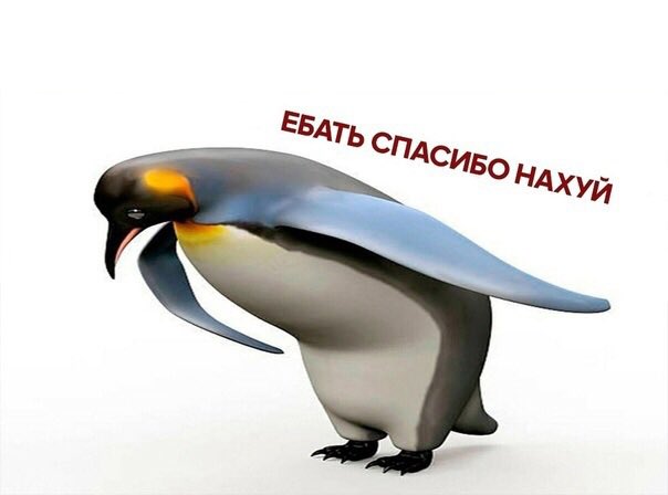 luavvvva's tweet photo. @bubble_ru прости господи https://t.co/wes17bNVxm