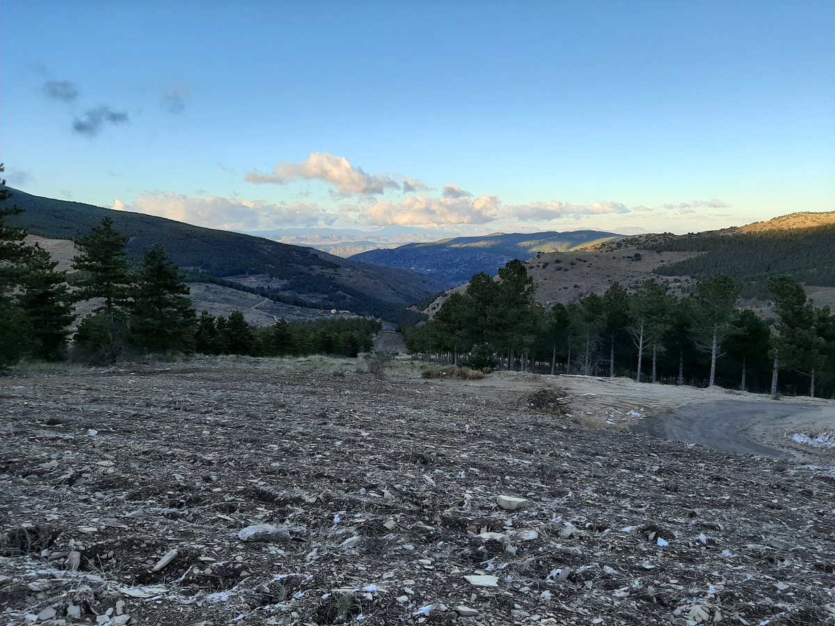 BeonNAT_H2020's tweet photo. Today in Velefique (Almeria). Snow in the just planted plot in #BeonNATproject  with Rosmarinus officinalis in a #marginalland. With Pedro Pablo Pellín, Luis Muñiz (El Jarpil) and Luis Esteban @CederCiemat 

@CBE_JU @HorizonEU @EUgreenresearch https://t.co/pI25zDDIyY