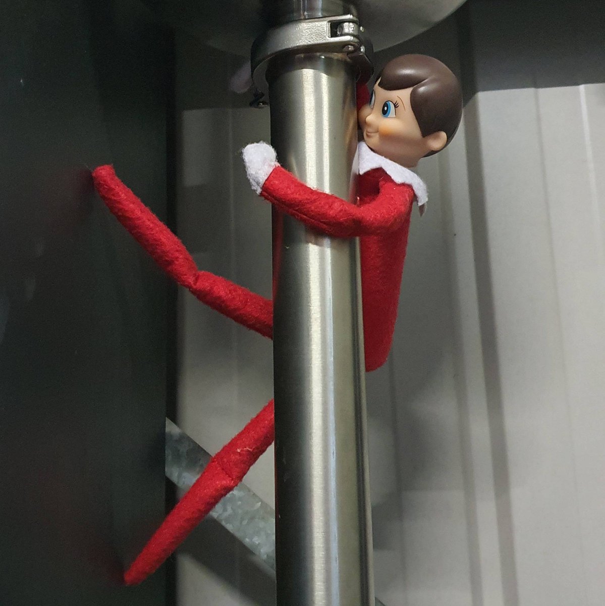 nicholaswiseman's tweet photo. Not THAT type of pole #Sacch, it's actually a filter... 
#elfontheshelf https://t.co/XE0QkaKG0y