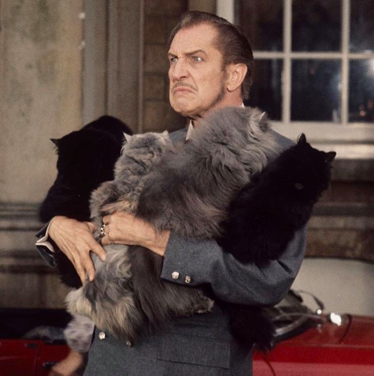 HorrorHammer1's tweet image. Vincent Price and an armload of cats.