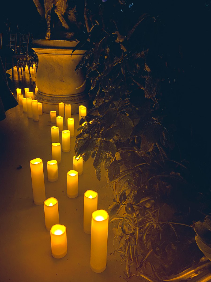 AnnaBabilinski's tweet photo. What a special evening last night was @The_Palmhouse - listening to some of my fave film soundtracks being played by a string quartet, in these stunning, candlelit surroundings…

#Liverpool #candlelightconcert #feveruk https://t.co/wwV7Dzin4I