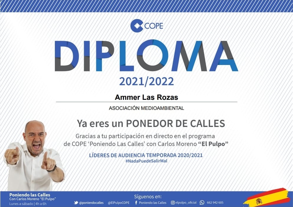 Ammer #LasRozas tweet media