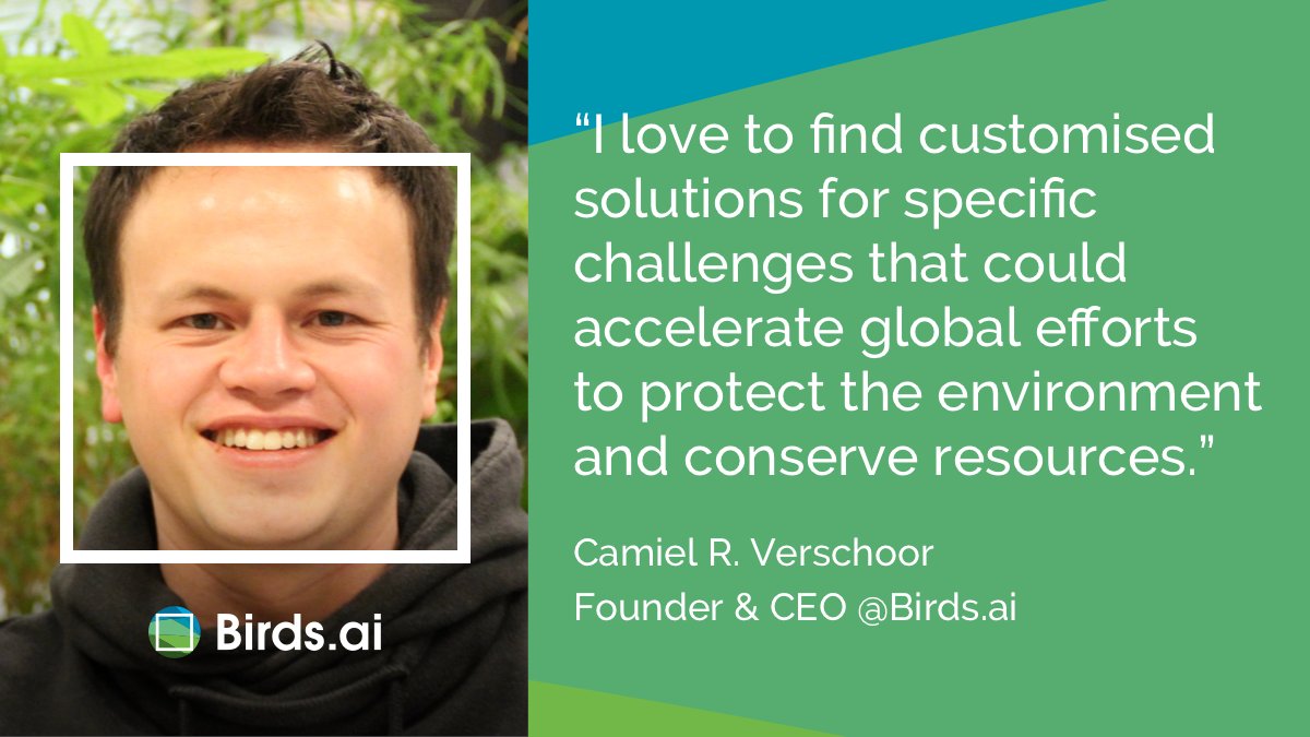 Birds.ai tweet media