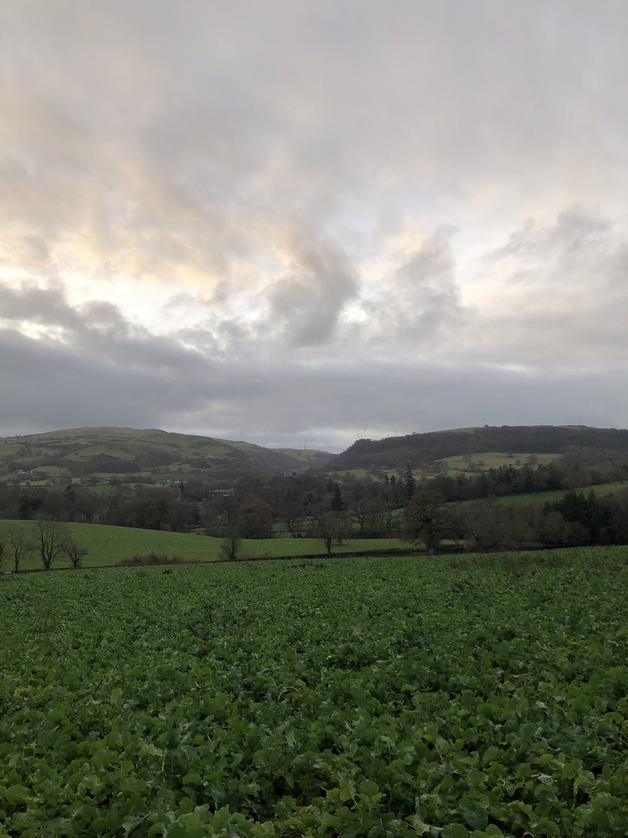 grj243's tweet photo. #boreda #goodmorning It’s #tweedoclock Dull, slight #breeze and overcast! Looks like a fly day!💪🏼 #HappyFriday everyone #NorthWales 🏴󠁧󠁢󠁷󠁬󠁳󠁿 https://t.co/RQxWDD1cg9