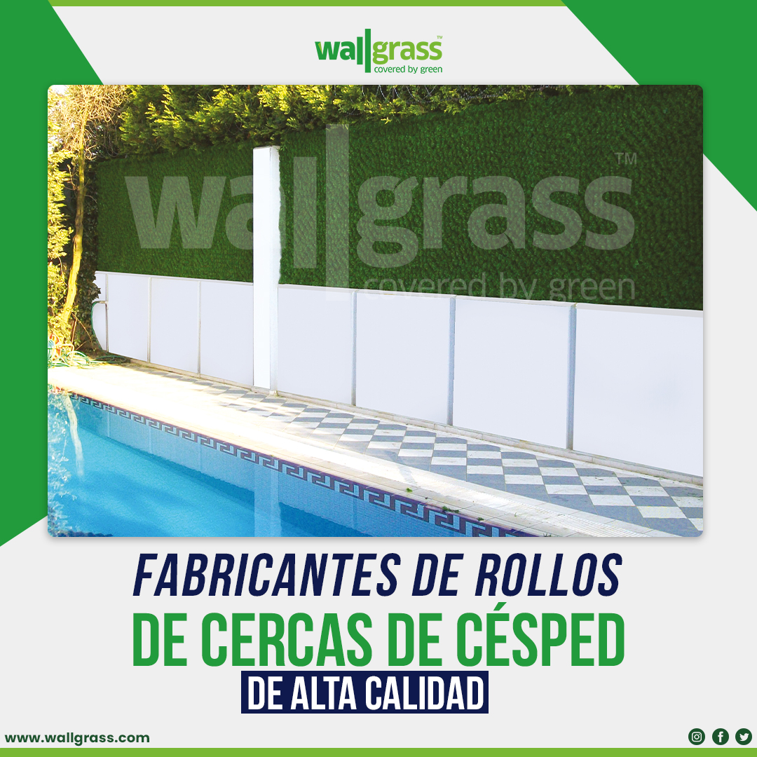 WallGrassGlobal's tweet photo. FABRICANTES DE ROLLOS DE CERCAS DE CÉSPED DE ALTA CALIDAD https://t.co/PC73BogSSi

#grassfence #fence #gardenfence #grass #grasswall #wallgrass #artificialgrass #turffence #turf #turfwall #artificialturf #garden #greenfence #green #fender #strat #life #lifehacks #lifestyle https://t.co/0MEw52xEj4