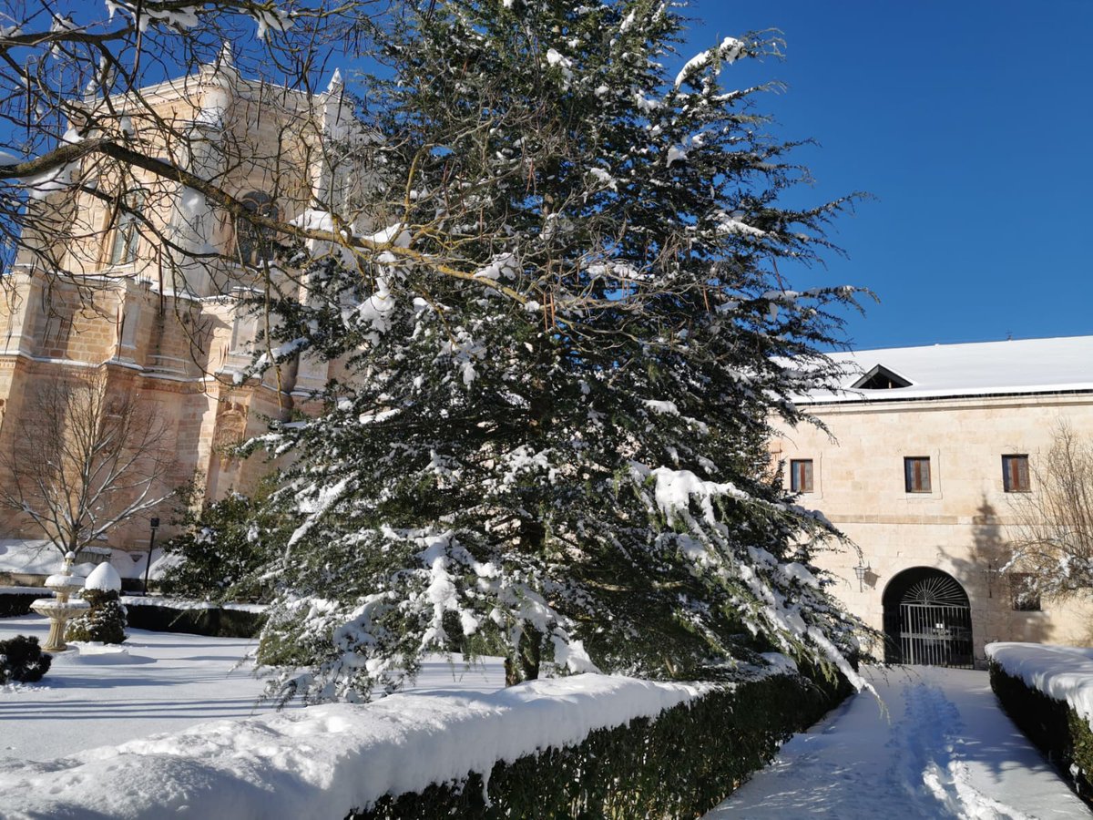 🤔¿No sabes qué hacer en Navidad?🎄  Nuestra hospedería te ofrece días claros y fríos para  pasear abrigado con esa persona especial por nuestro magnífico entorno y noches con estrellas al alcance de tu mano.✨  bit.ly/2U6KHbQ #EscapadasCYL #HotelRiberaDeDuero #Navidad