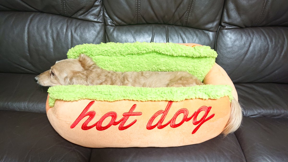 Hot Dogクッション PomPreece（ポンポリース） ホットドッグ ベッド クッション 犬 猫