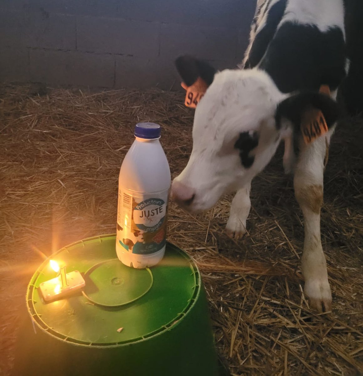 JusteDeLA's tweet photo. Joyeux anniversaire 🎉

Ça y est... 1️⃣ an déjà que la marque #Juste de Loire-Atlantique a été lancée et que nos bouteilles de #lait remplissent les rayons et vos placards !

#BRAVO aux agris ambassadeurs #JusteDeLA qui se donnent à fond pour vous faire découvrir leur bon produit https://t.co/gvn6YsYMPj
