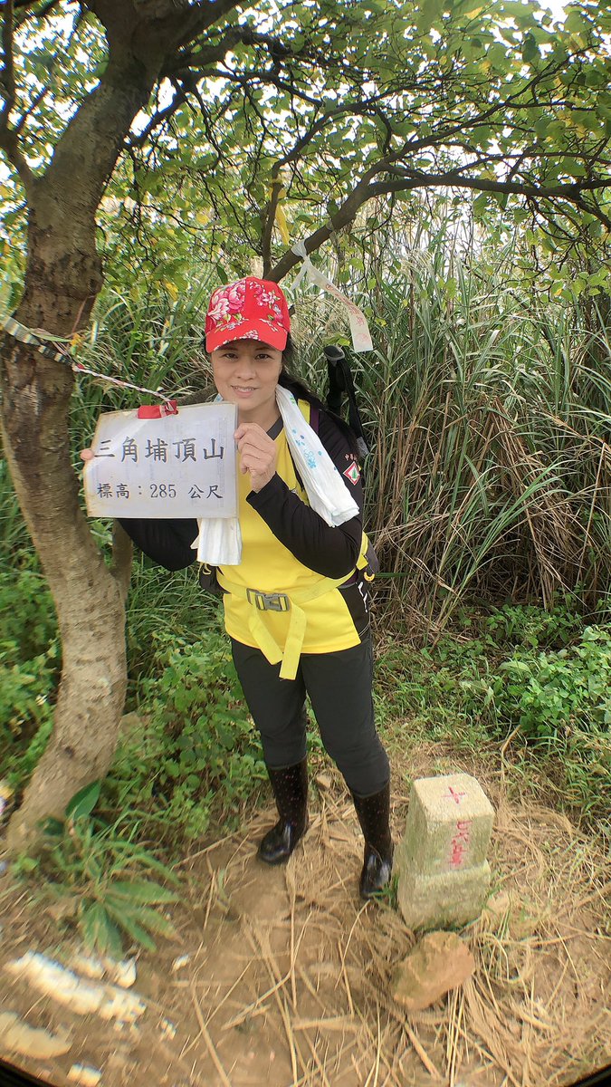 Cihdy1964's tweet photo. 20211128賞芒日 https://t.co/FFeQEPH6nz