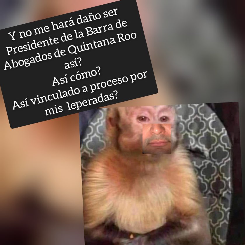dianisdfojitos's tweet photo. Le va a hacer daño al Sarti @CoparmexQRoo @BarrAbogadoQRoo https://t.co/eJj7kcyg3d