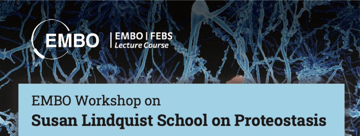 shouval's tweet photo. The @EMBO @FEBSnews Susan Lindquist School on Proteostasis was wrapped up yesterday in a celebration of science and community. Yes it was on zoom, but it was the closest to a live meeting possible! Why? a 🧵 https://t.co/KQfaKJpygA