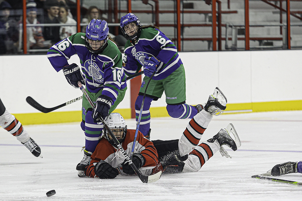 vid3design's tweet photo. It’s a winning streak. Two in a row for @LNgirlshockey after a 5-1 victory over Eagan. Panthers worked hard for the W. https://t.co/0plYY6Yvhk