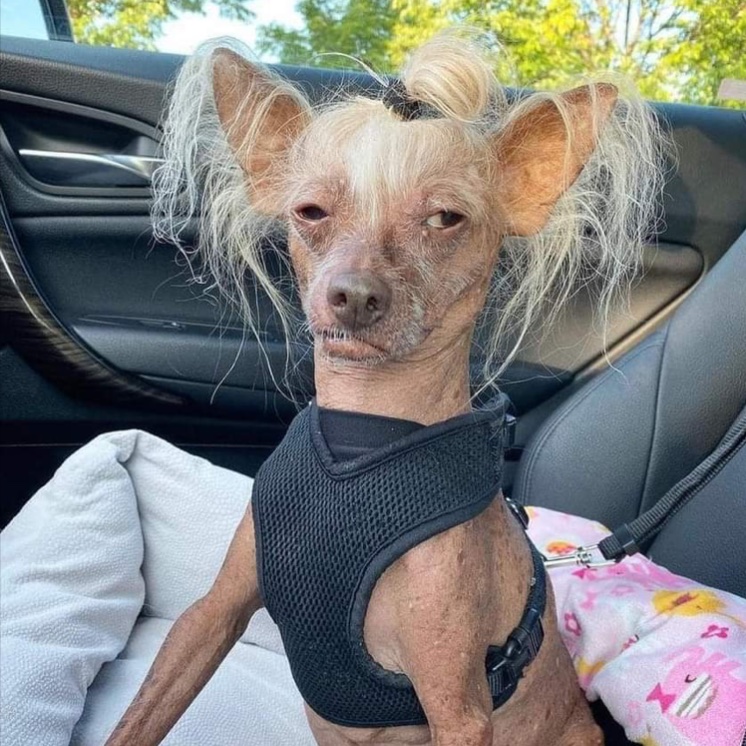 Nadia Ferreira a las 6:03 a.m// Yo todo el día