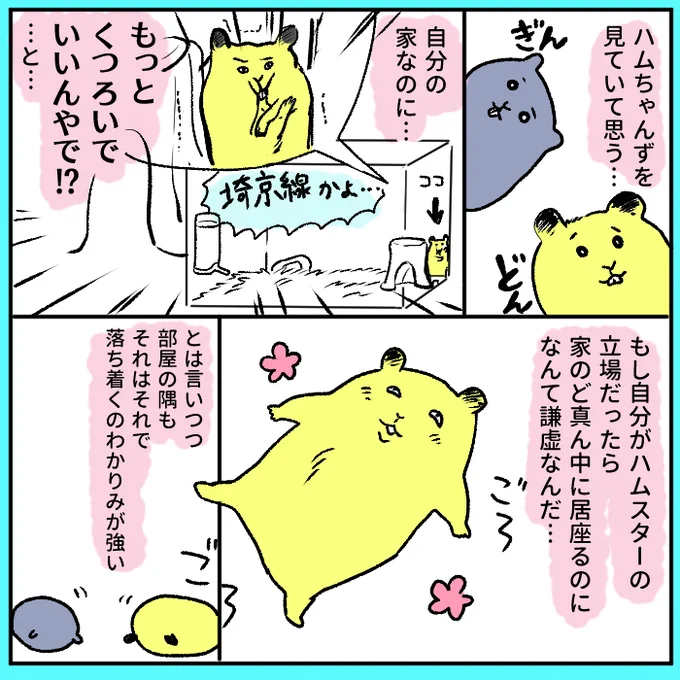 ハムスター日記:めちゃくちゃ奥に座っているとたまにびびります 