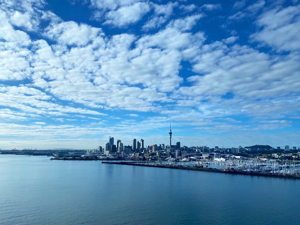 RichardHills_'s tweet photo. Auckland, we smashed it. It’s been extremely tough for many individuals & businesses but we’ve saved thousands of lives. We’re one of the only cities in the world to contain a delta outbreak, we are now one of the most vaccinated cities in the world, 95% first dose & 90% second. https://t.co/dkxFMRWNTQ