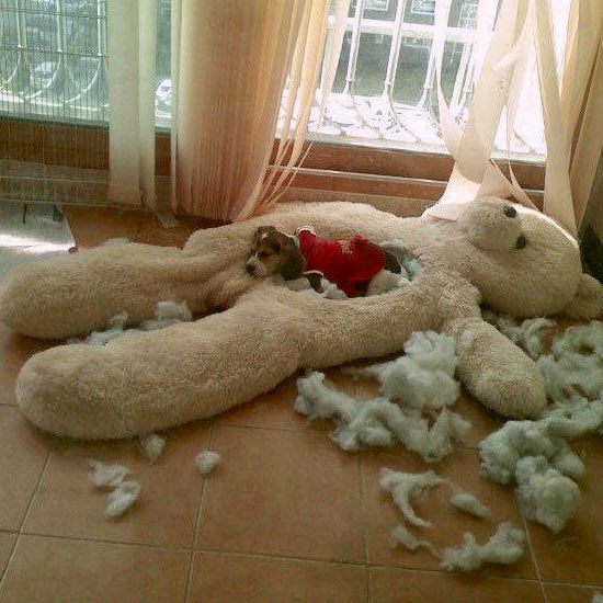 Uncle Duke tweet media