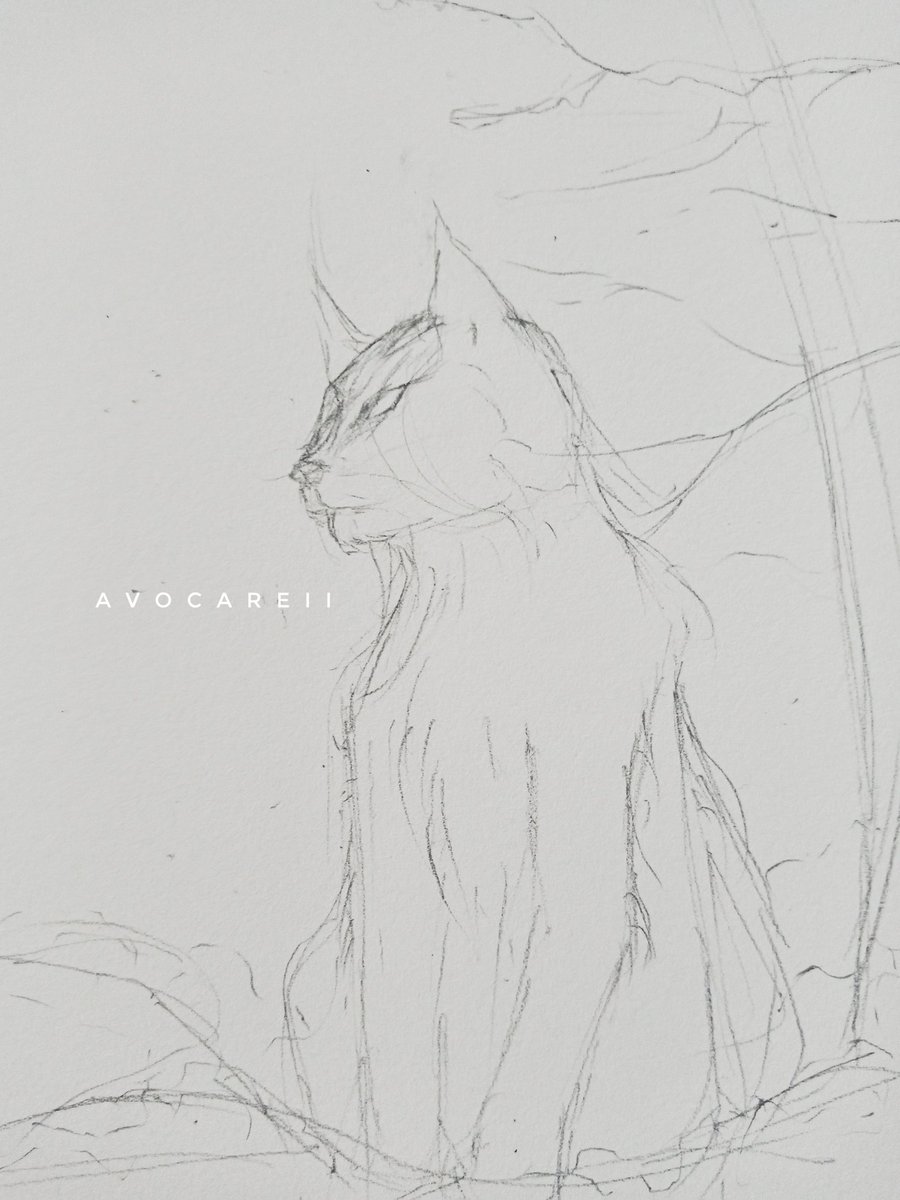 Avocareii's tweet photo. Today's fast sketch 🤍

Versi watercolornya gatau kapan wkkwkw https://t.co/ygKRClp9Gb