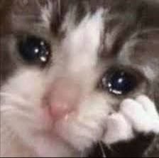 MotoJojoCo's tweet photo. “I hope this email finds you well”
Me, well: https://t.co/UjSWwkiq6c