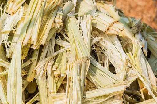 WeGoBack2Nature's tweet photo. Any idea what this is?

This is known as Bagasse – the pulp leftover from sugarcane after extracting its juice.

Swipe to see how we transform it into eco-friendly tableware.

Email us at sales@backtonature.ae
#tableware #back2nature #sustainability #bagasse https://t.co/ORCNlvnduS