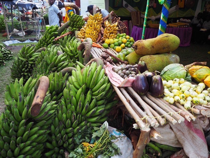 ViAgroforestry's tweet photo. Vi Agroforestry 🇹🇿 has called upon leaders to prioritise the development of a National #Agroforestry Strategy for 🇹🇿 Tanzania, during the ongoing 3-day annual agroforestry symposium in Musoma, #KilimoMseto #TeamAgroforestry #agriculture #agroforestry #tanzania https://t.co/AgDLqjQRaa